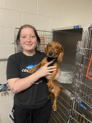 Zoe Andrews, Vet Assistant